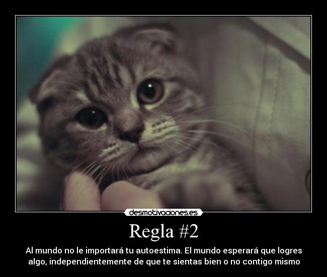 Regla #2 - Al mundo no le importará tu autoestima. El mundo esperará que logres
algo, independientemente de que te sientas bien o no contigo mismo