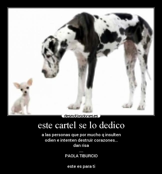 carteles paola tiburcio chihuahua desmotivaciones