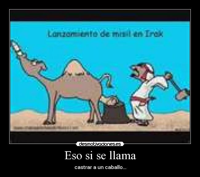 Eso si se llama - castrar a un caballo...