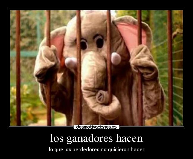 los ganadores hacen - lo que los perdedores no quisieron hacer