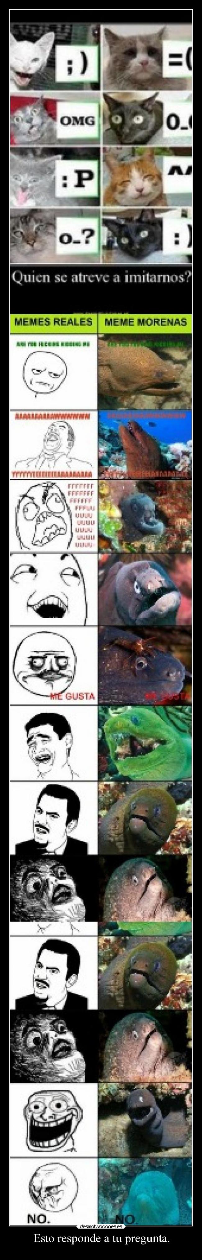 carteles toni97jh desmotivaciones