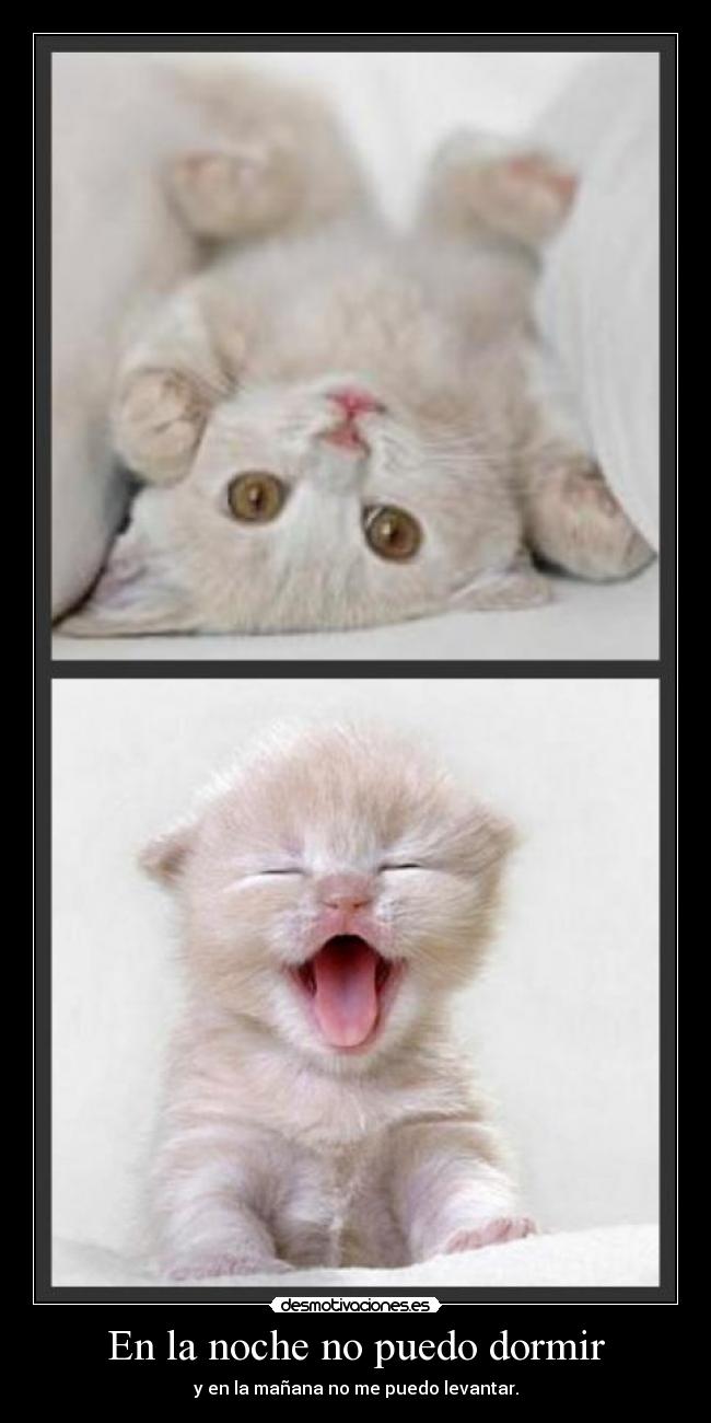 En la noche no puedo dormir - 