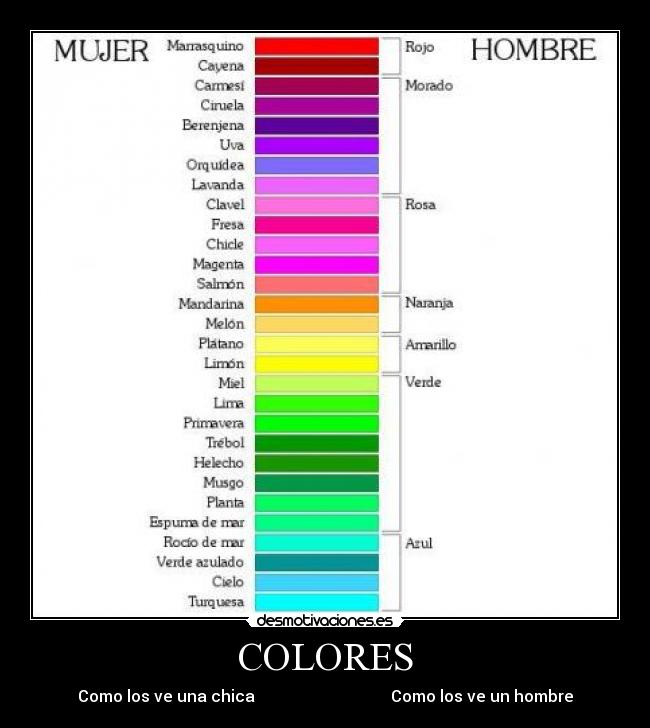 COLORES - Como los ve una chica                                  Como los ve un hombre