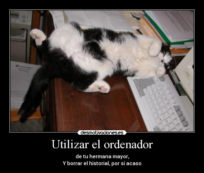 Utilizar el ordenador -