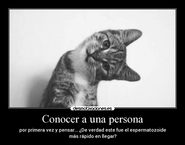 Conocer a una persona -