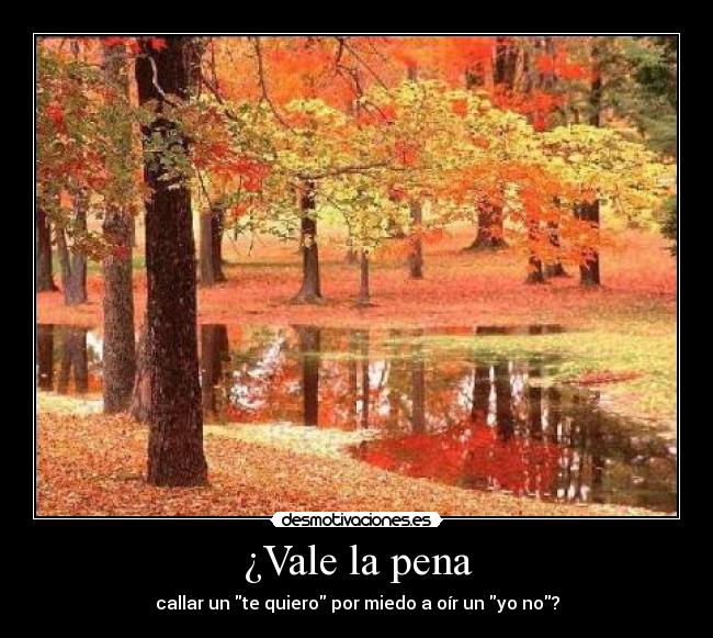 ¿Vale la pena -