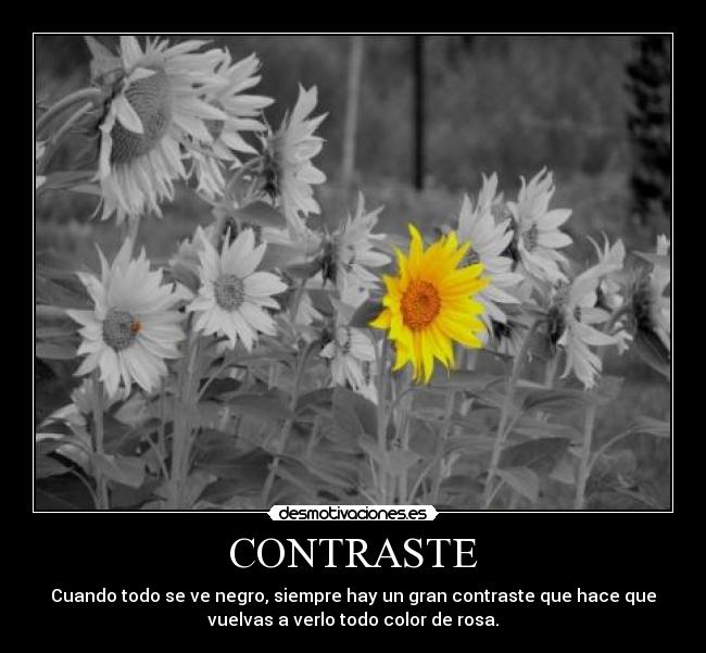 CONTRASTE - Cuando todo se ve negro, siempre hay un gran contraste que hace que
vuelvas a verlo todo color de rosa.