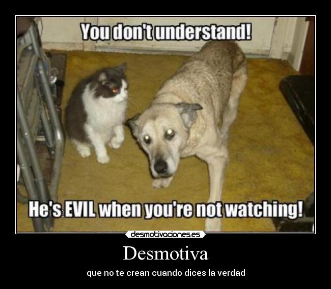 Desmotiva - que no te crean cuando dices la verdad