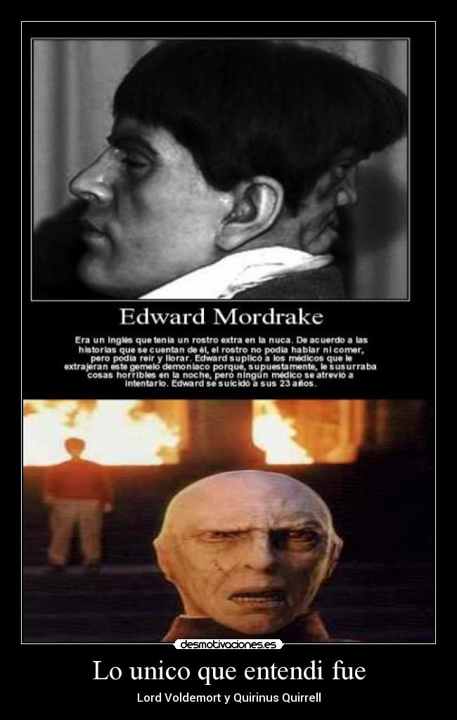 Lo unico que entendi fue -