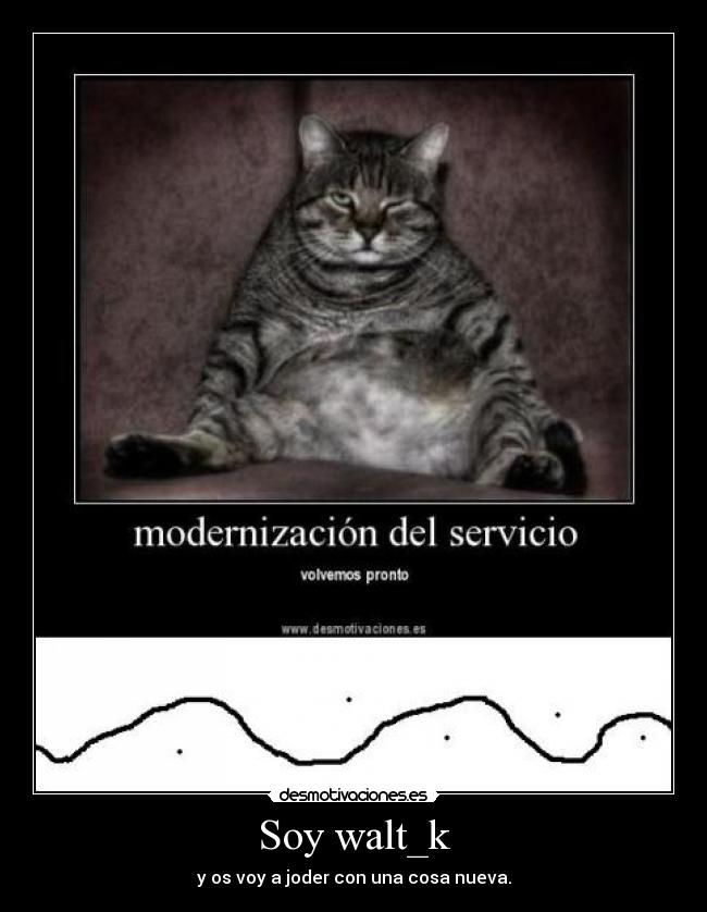 Soy walt_k -