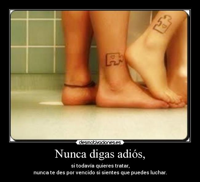 Nunca digas adiós, -
