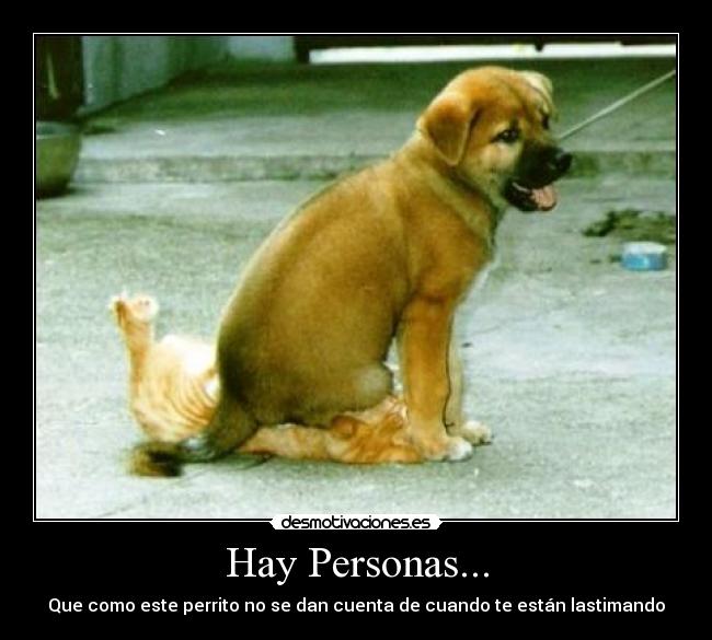 Hay Personas... - Que como este perrito no se dan cuenta de cuando te están lastimando