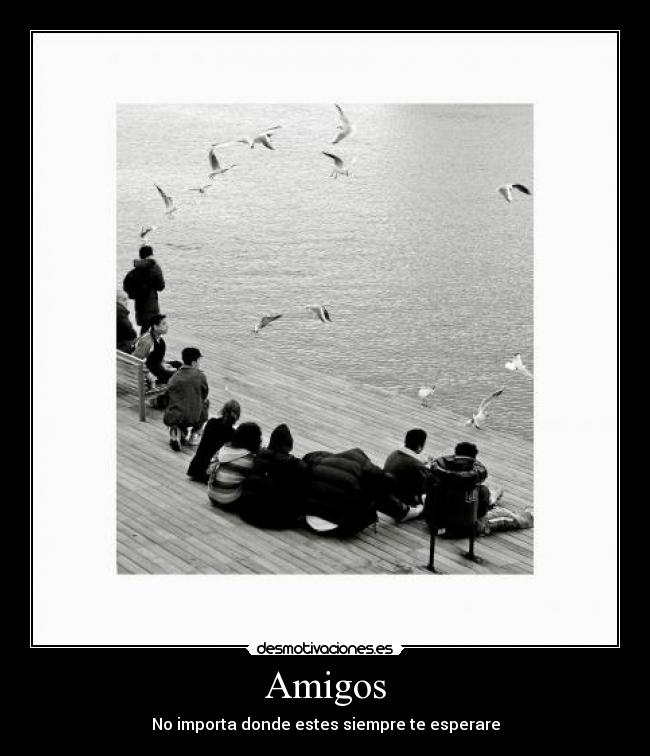 carteles amigos amigos desmotivaciones