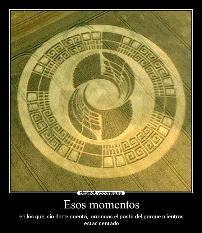 Esos momentos - en los que, sin darte cuenta,  arrancas el pasto del parque mientras estas sentado