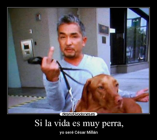 Si la vida es muy perra, - yo seré César Millán