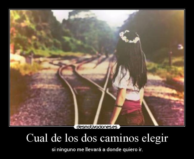 Cual de los dos caminos elegir - si ninguno me llevará a donde quiero ir.