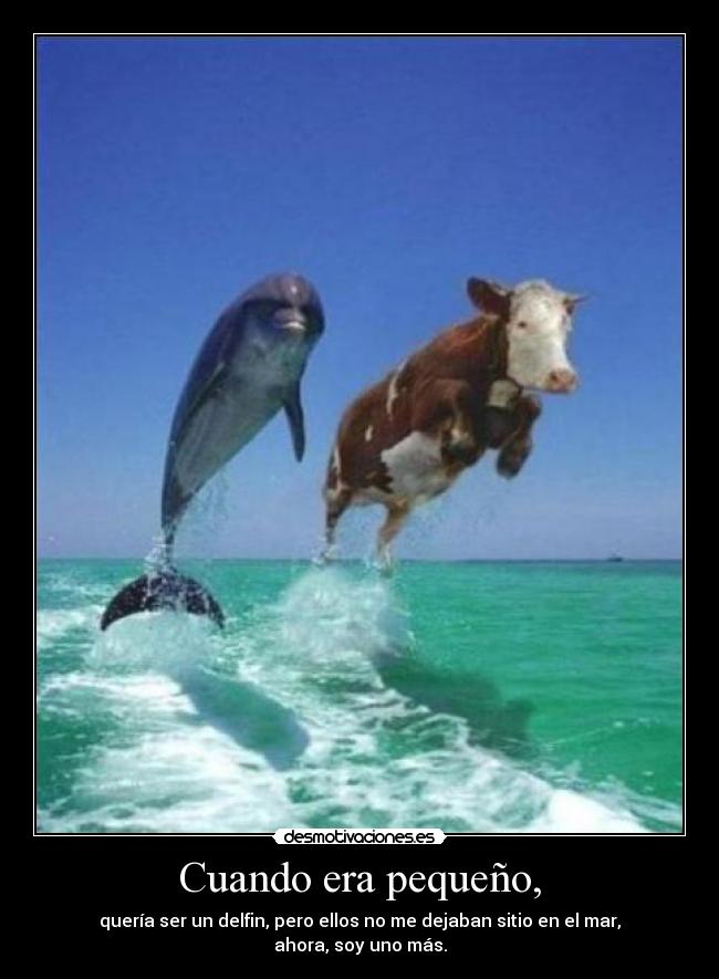 carteles elclanviral comemos kittag bollicao para pollarnos los intruders desmotivaciones