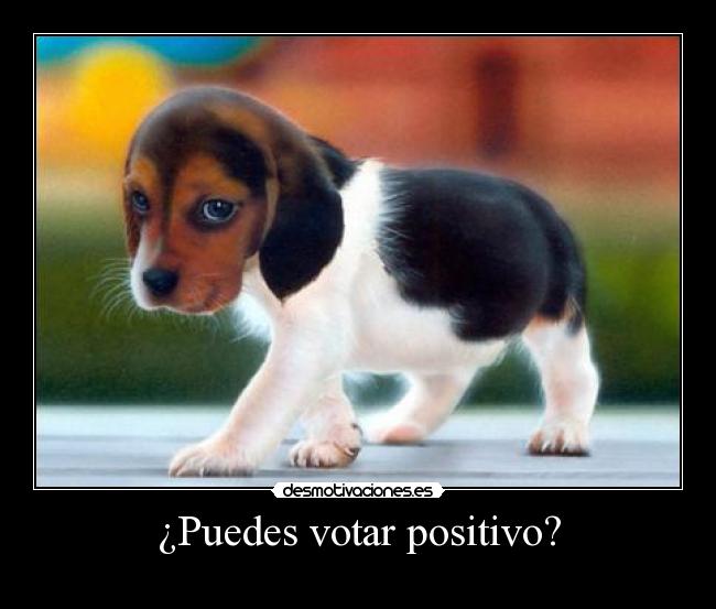 ¿Puedes votar positivo? - 