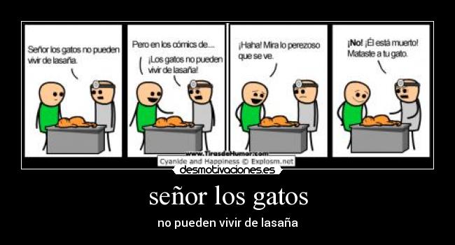 señor los gatos - no pueden vivir de lasaña
