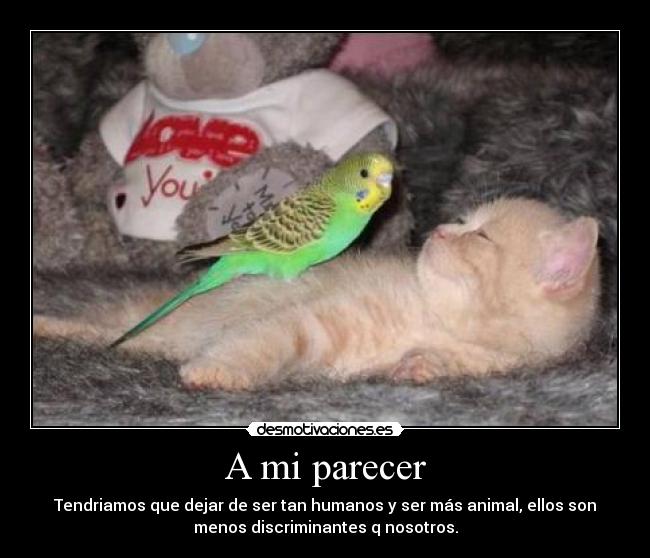A mi parecer - Tendriamos que dejar de ser tan humanos y ser más animal, ellos son
menos discriminantes q nosotros.