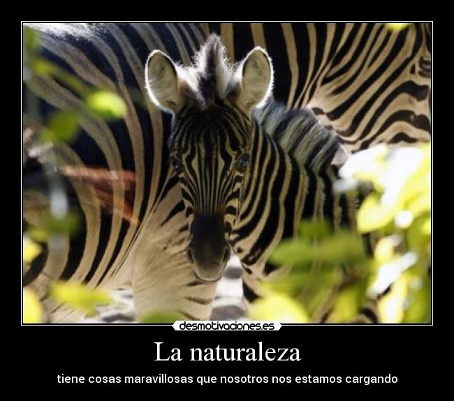 La naturaleza - tiene cosas maravillosas que nosotros nos estamos cargando