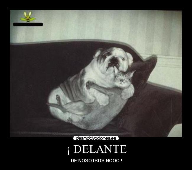 ¡ DELANTE -