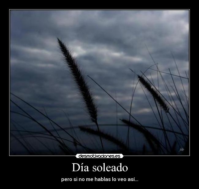 Día soleado - pero si no me hablas lo veo así...