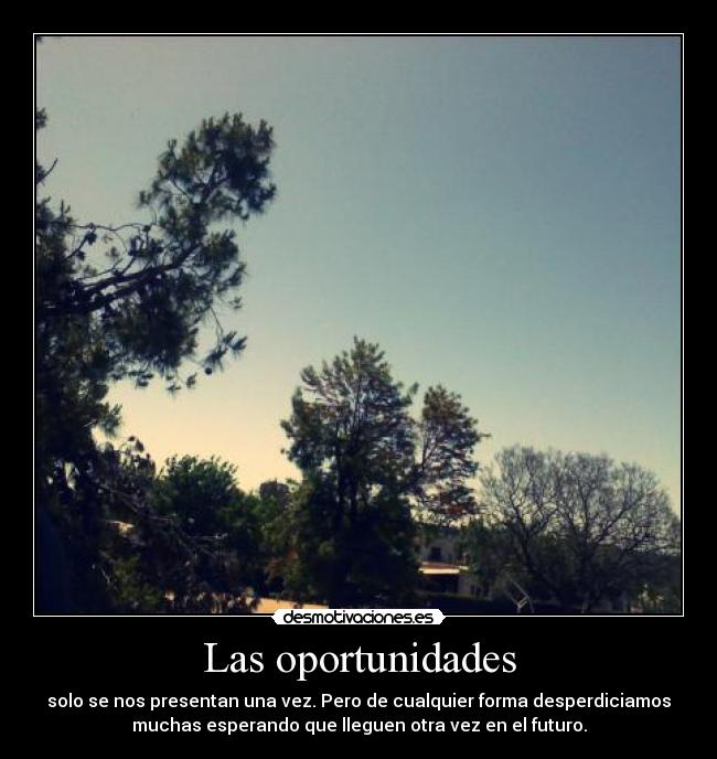 carteles estupideses vida desmotivaciones