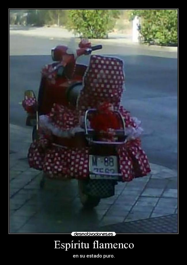 Espíritu flamenco - en su estado puro.