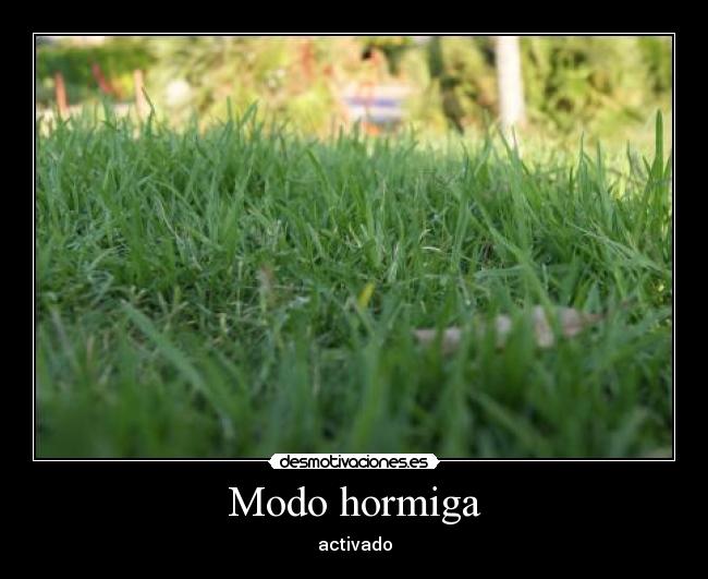 Modo hormiga - activado