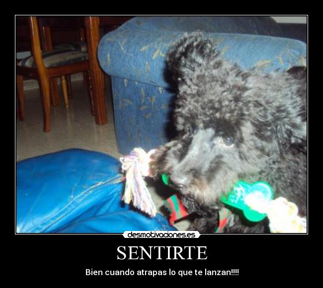 SENTIRTE - Bien cuando atrapas lo que te lanzan!!!!