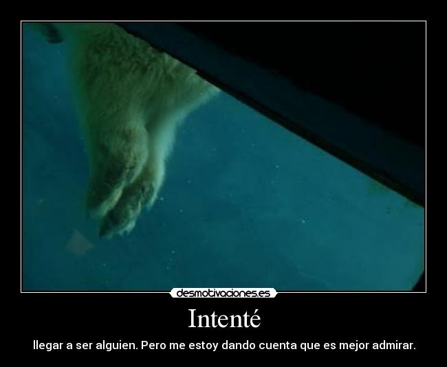 Intenté - llegar a ser alguien. Pero me estoy dando cuenta que es mejor admirar.