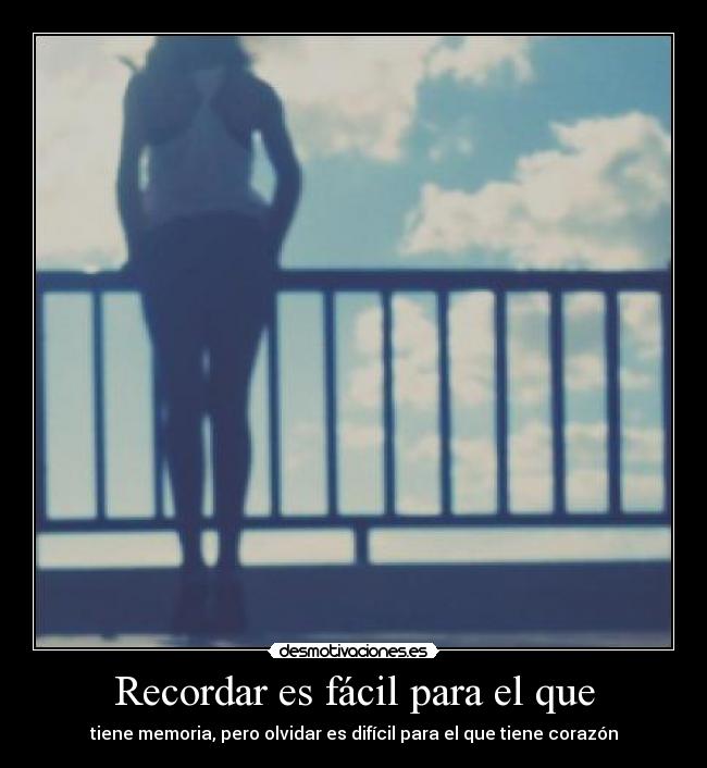 carteles tequiero desmotivaciones