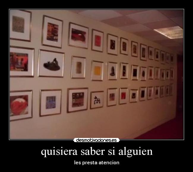 quisiera saber si alguien - les presta atencion