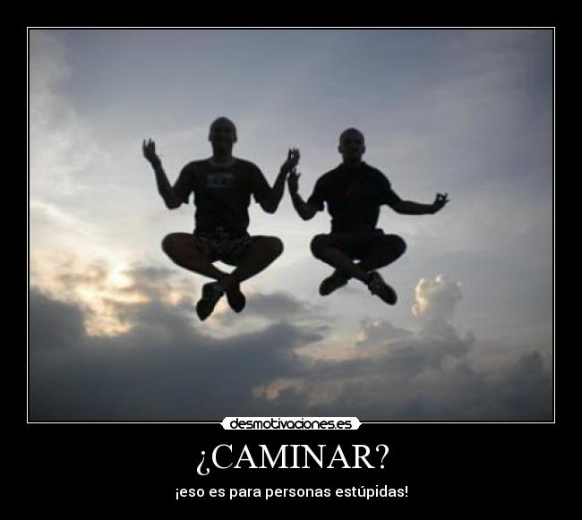 ¿CAMINAR? - ¡eso es para personas estúpidas!