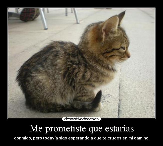 Me prometiste que estarías -