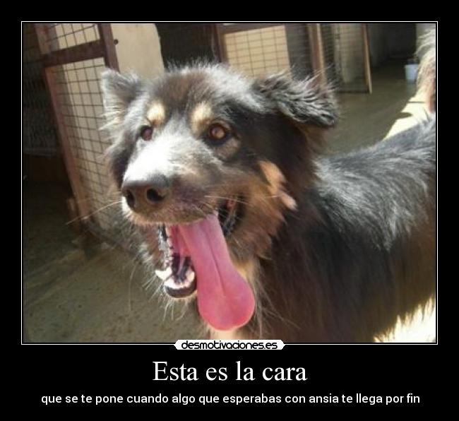 Esta es la cara - que se te pone cuando algo que esperabas con ansia te llega por fin