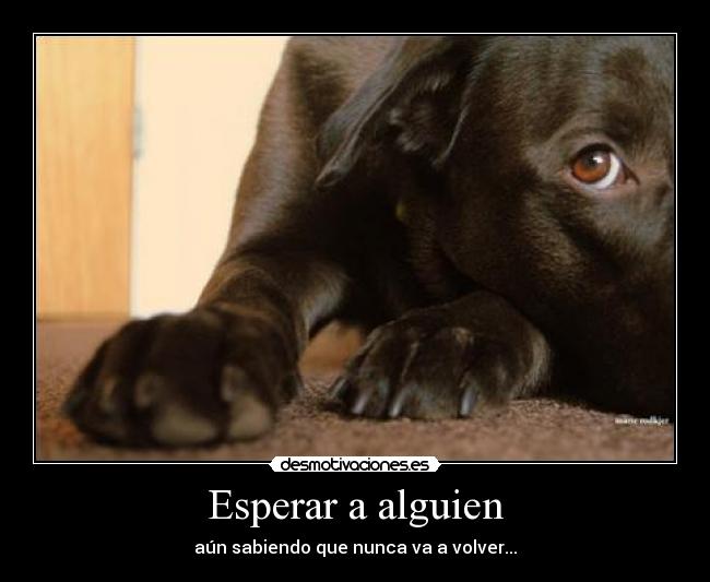 carteles alwayscool desmotivaciones