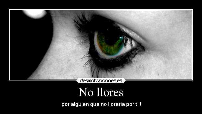 carteles nollores desmotivaciones