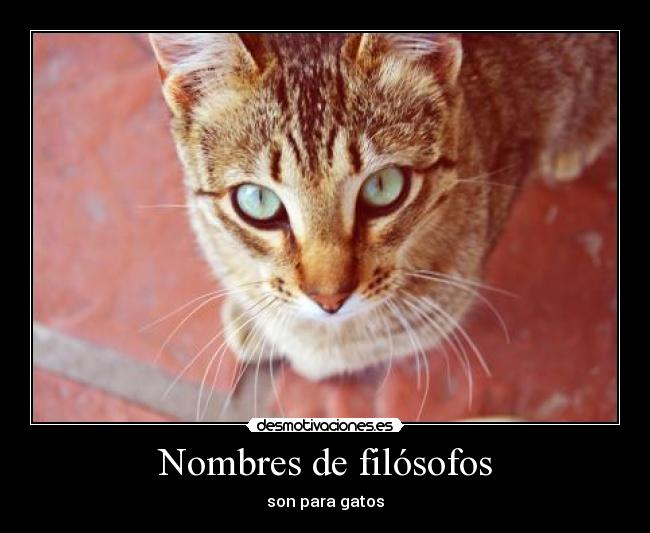 Nombres de filósofos - 
