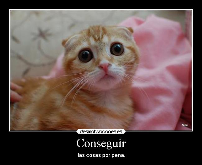 Conseguir - las cosas por pena.