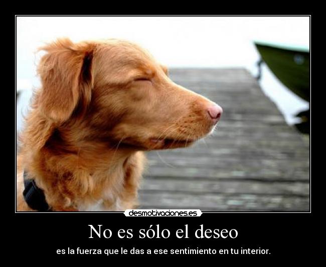 No es sólo el deseo -