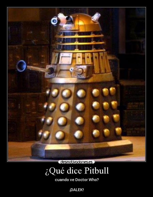 ¿Qué dice Pitbull - 