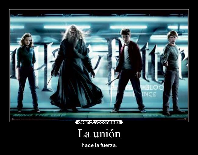 carteles harry potter desmotivaciones