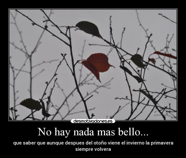 No hay nada mas bello... - 