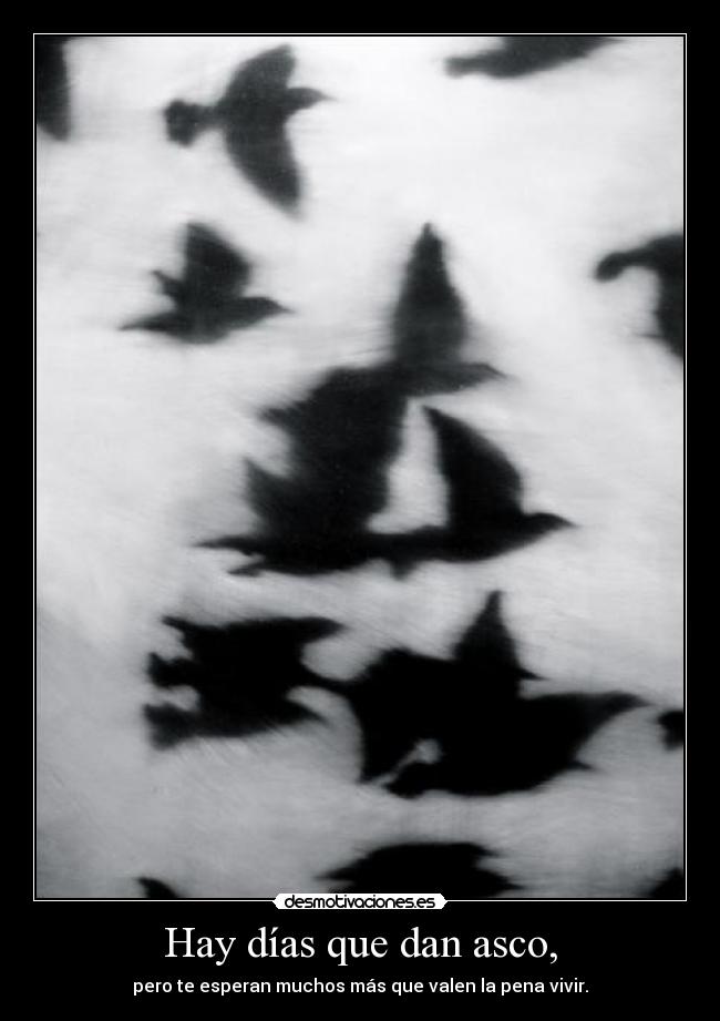 Hay días que dan asco, - pero te esperan muchos más que valen la pena vivir.
