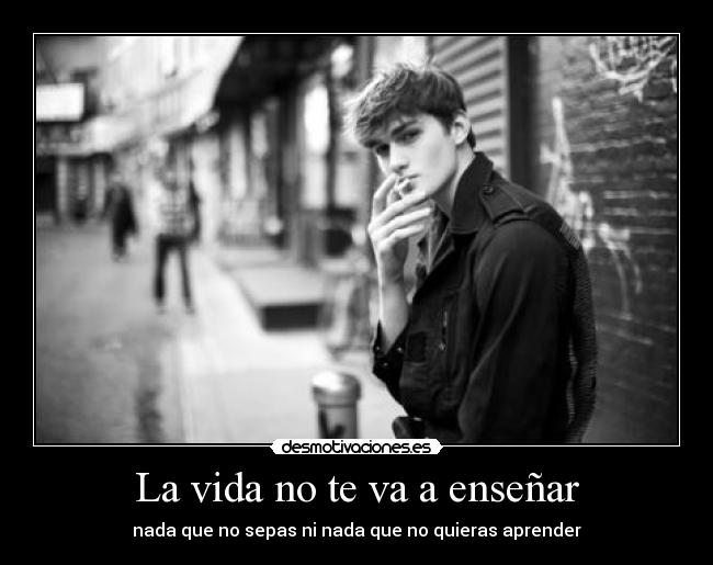 La vida no te va a enseñar - 