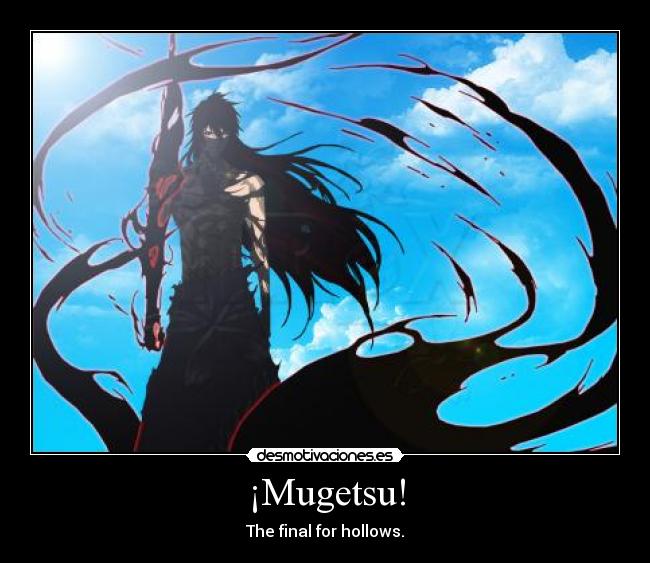 ¡Mugetsu! - The final for hollows.