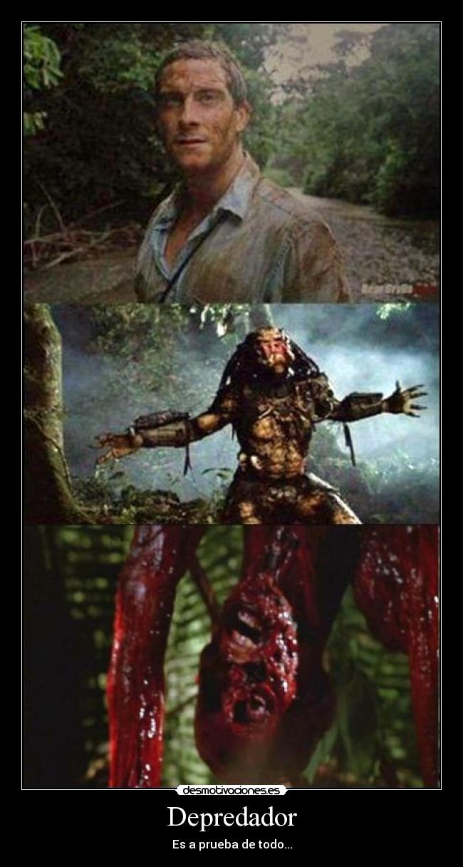 Depredador - 