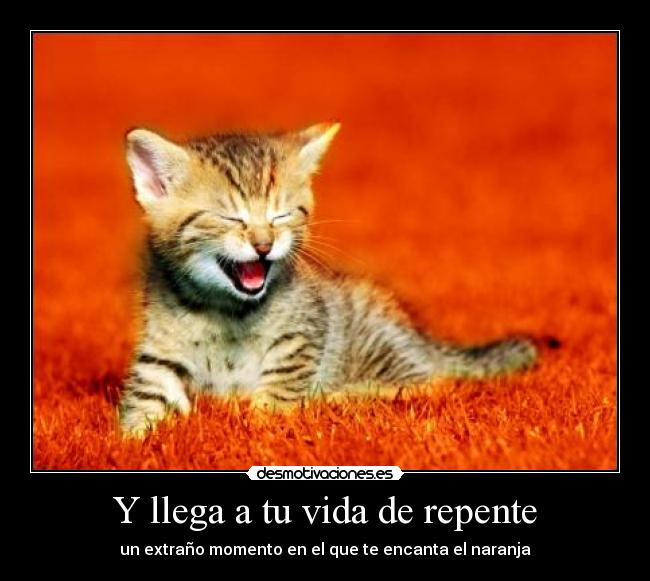 Y llega a tu vida de repente -